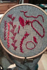 Embroidery sampler. I followed a few tutorials to test out different stitches